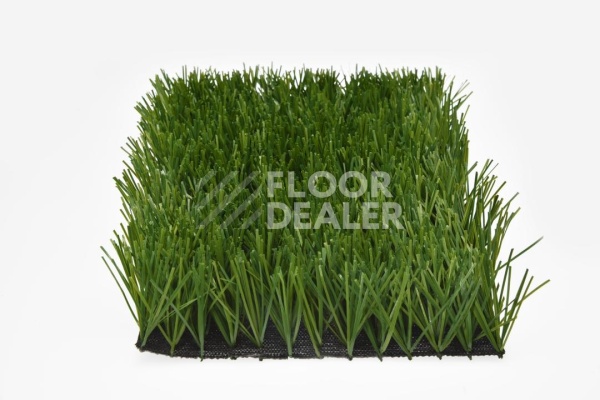 Искусственная трава Apoluza Sportfloor TURF 50/13s Green фото 1 | FLOORDEALER